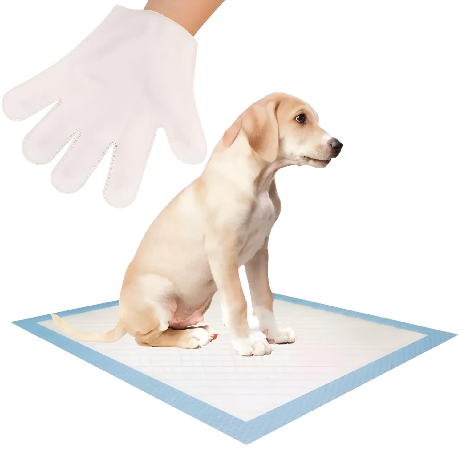 jpg_1500x1500_67448541