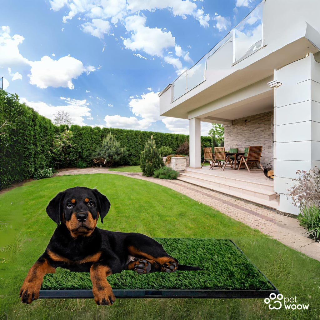 jpg_1500x1500_67451185