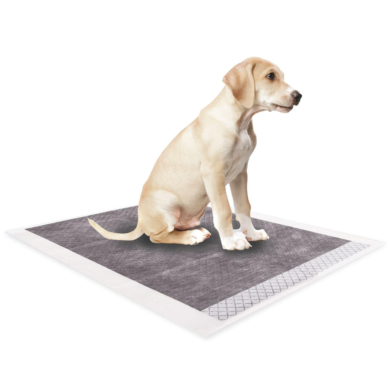 jpg_1500x1500_67449669