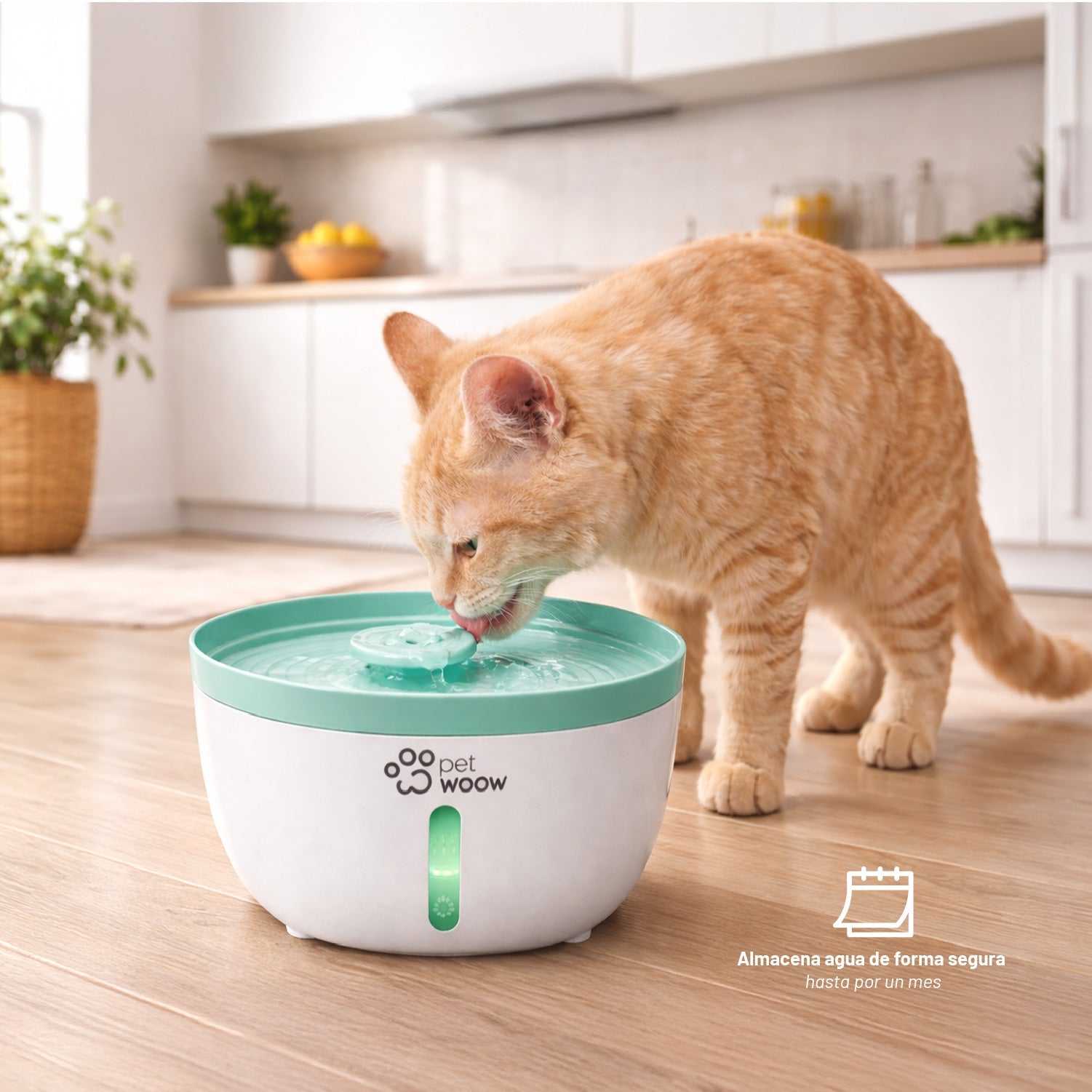 Fuente de Agua Bebedero para Mascotas Verde