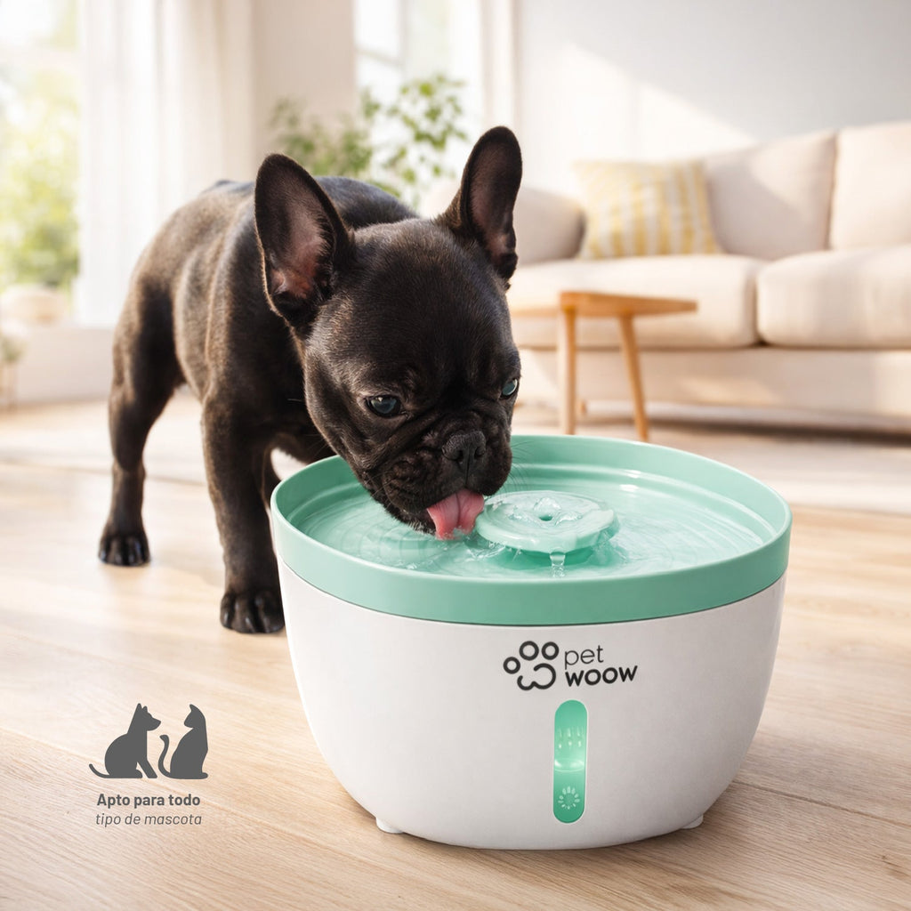 Fuente de Agua Bebedero para Mascotas Verde