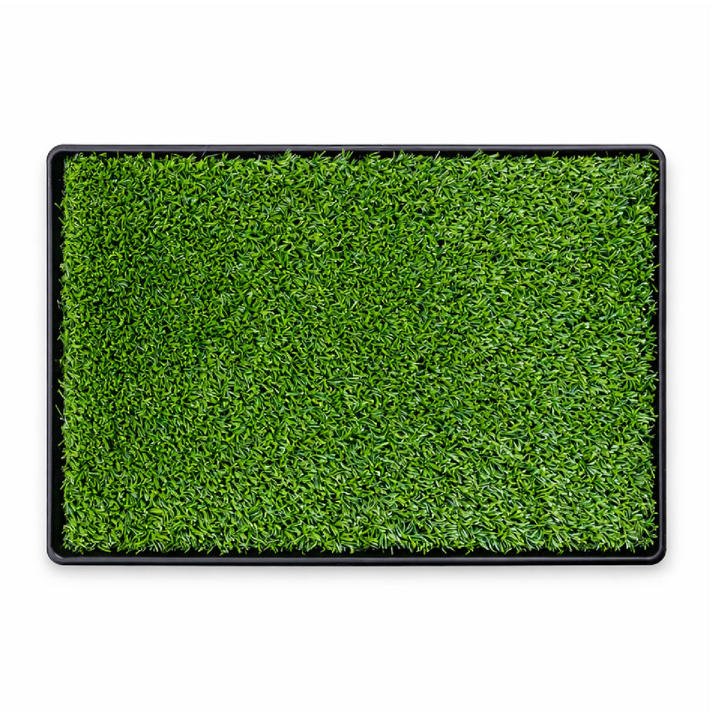 Baño Ecológico Perros Gatos Doggy Potty