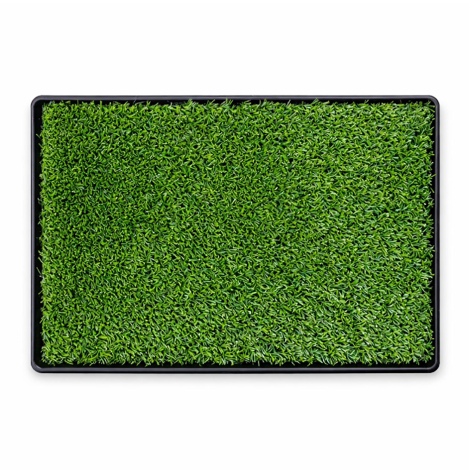 Baño Ecológico Perros Gatos Doggy Potty