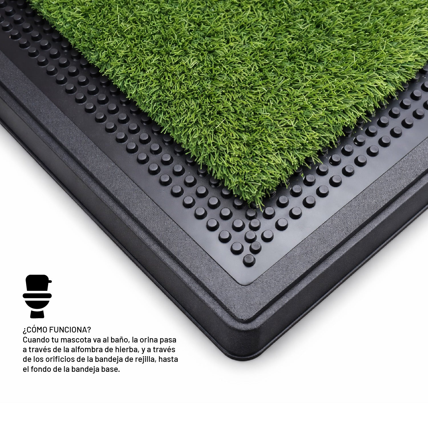 Baño Ecológico Perros Gatos Doggy Potty