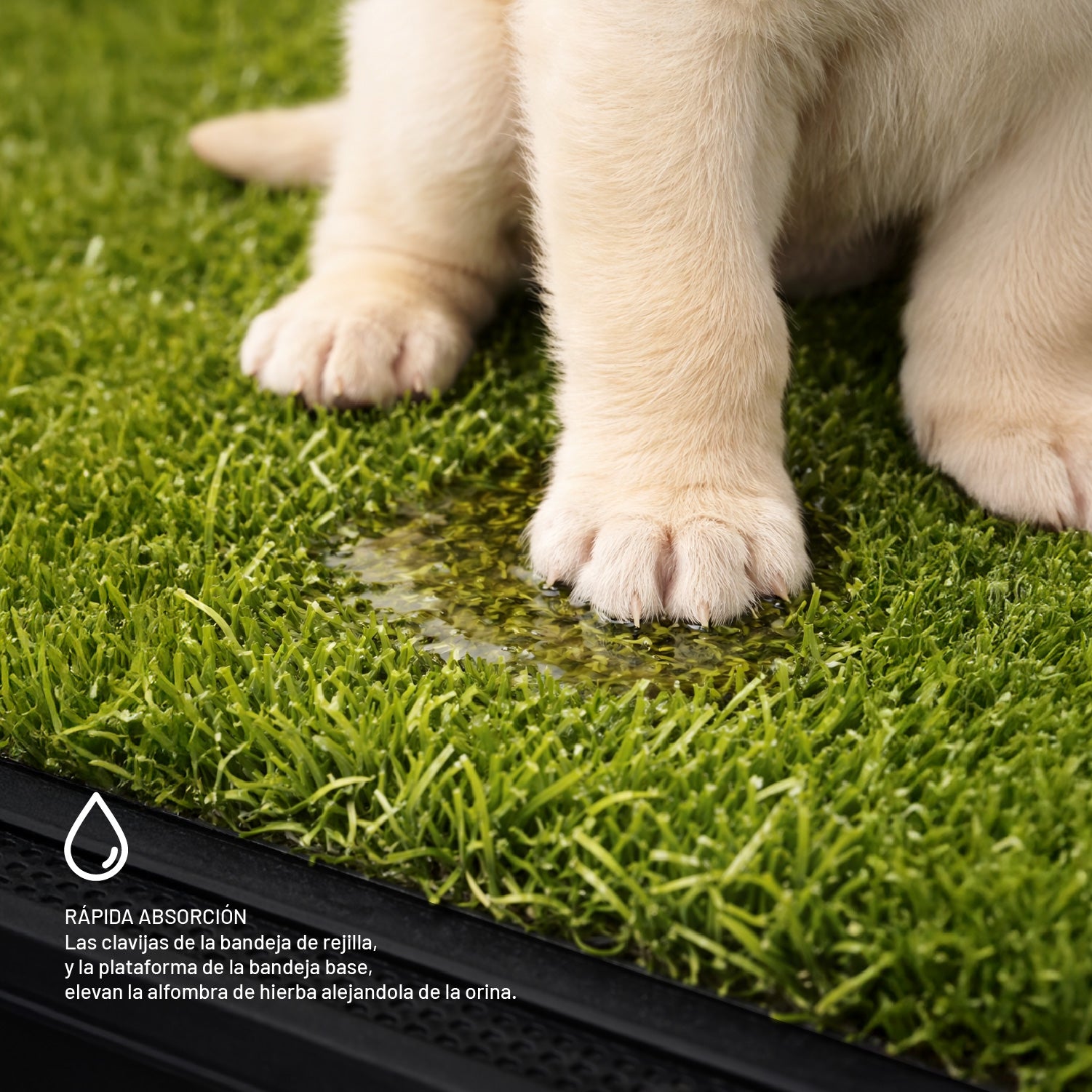 Baño Ecológico Perros Gatos Doggy Potty