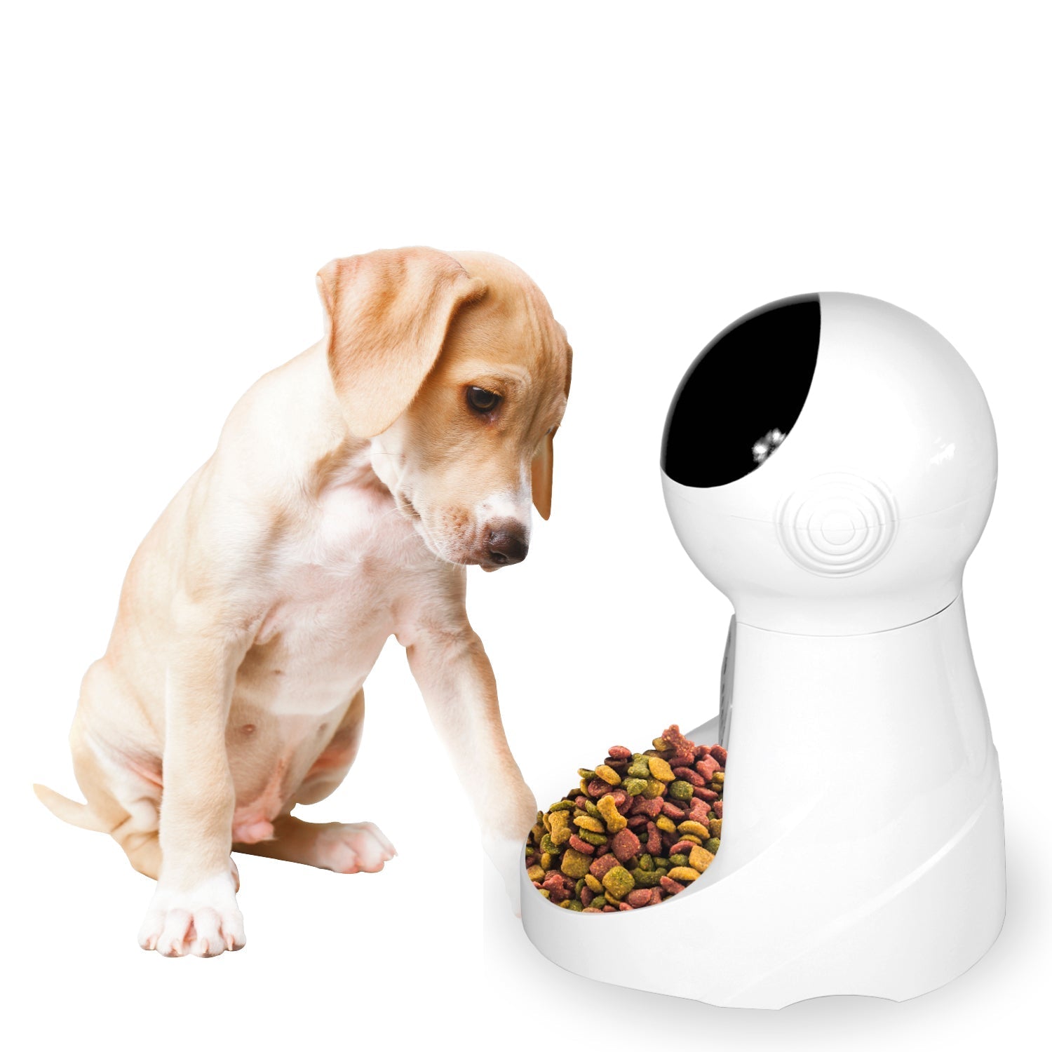 Dispensador de Alimentos Mascotas con Parlante