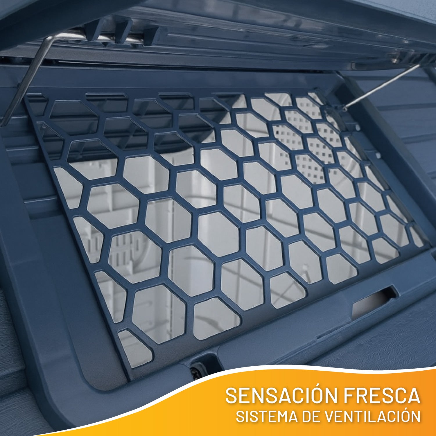 Casa Mascota 75x59x66 Skylight