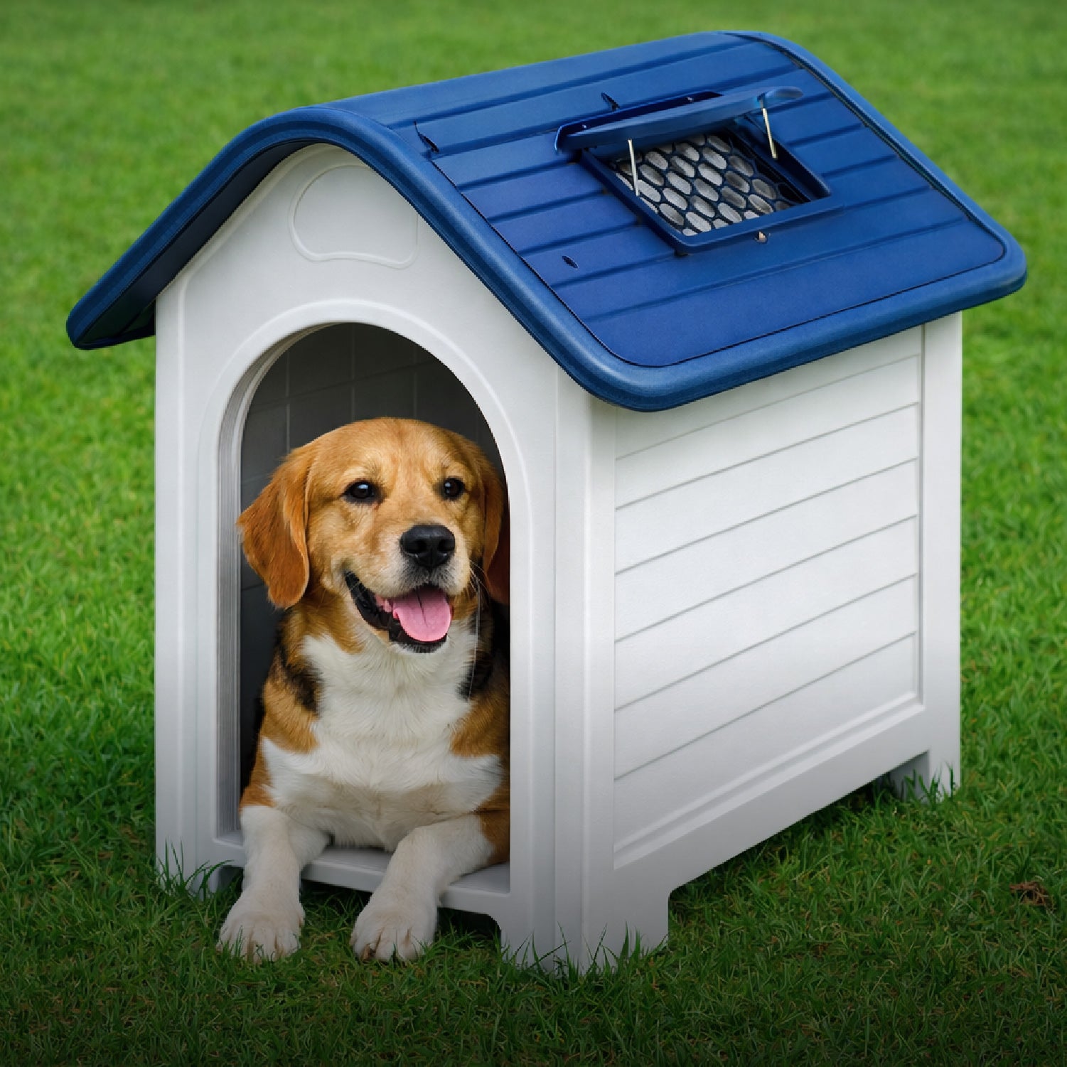 Casa Mascota 75x59x66 Skylight