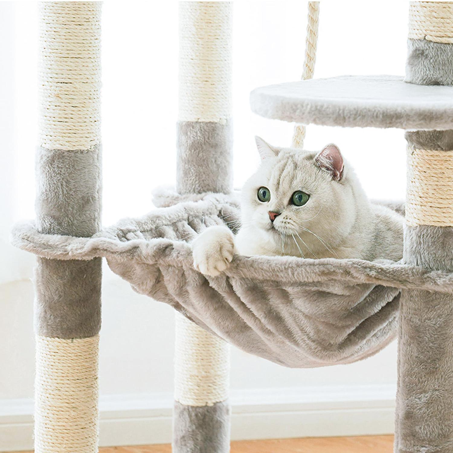 jpg_1500x1500_67448829