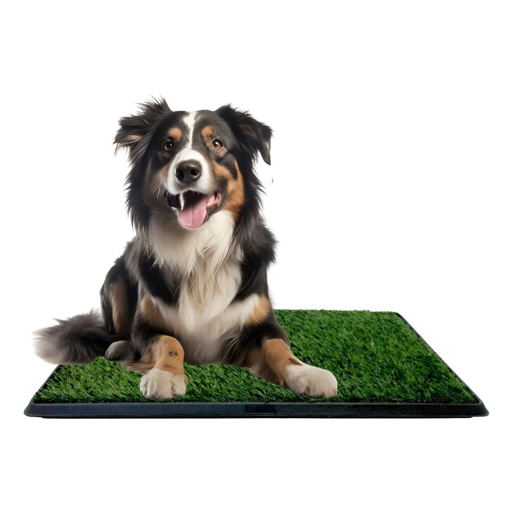 jpg_1500x1500_67451182