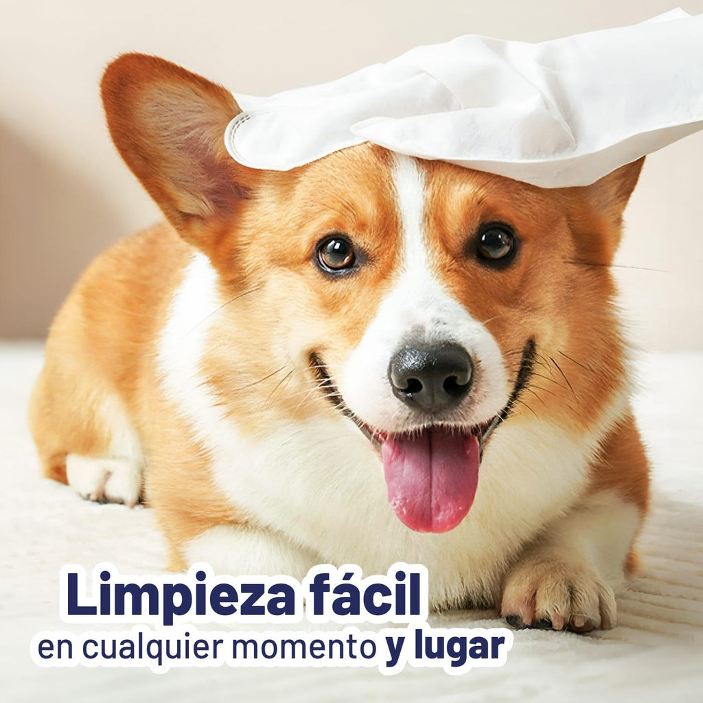 jpg_1500x1500_67449819